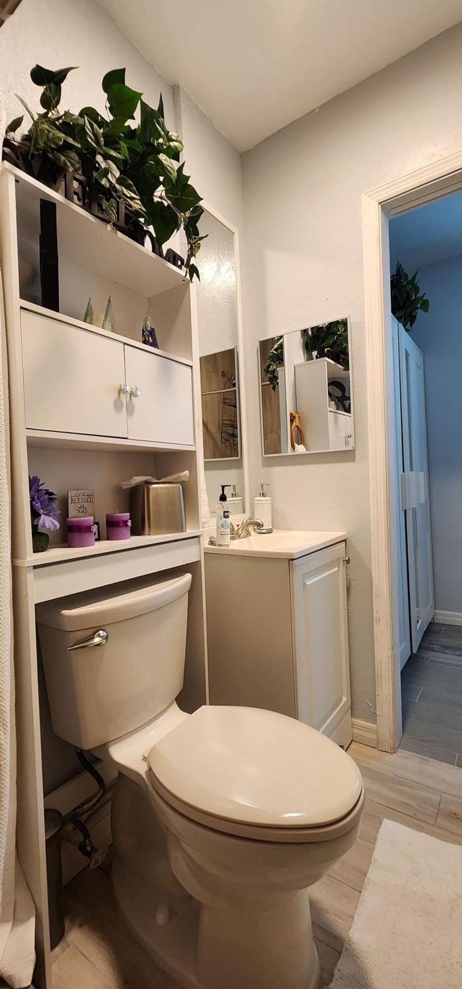 Sweet Studio In Sarasota Dış mekan fotoğraf